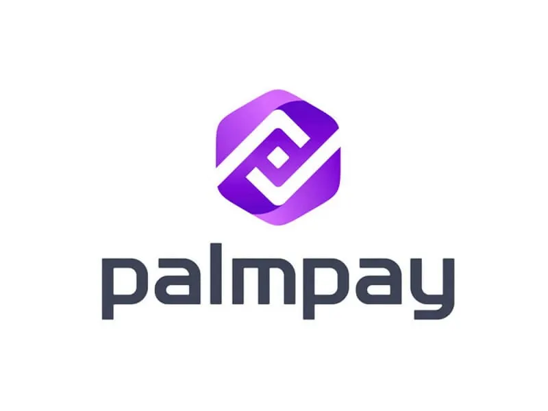PalmPay POS in Nigeria