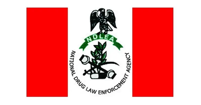 apply for NDLEA recruitment